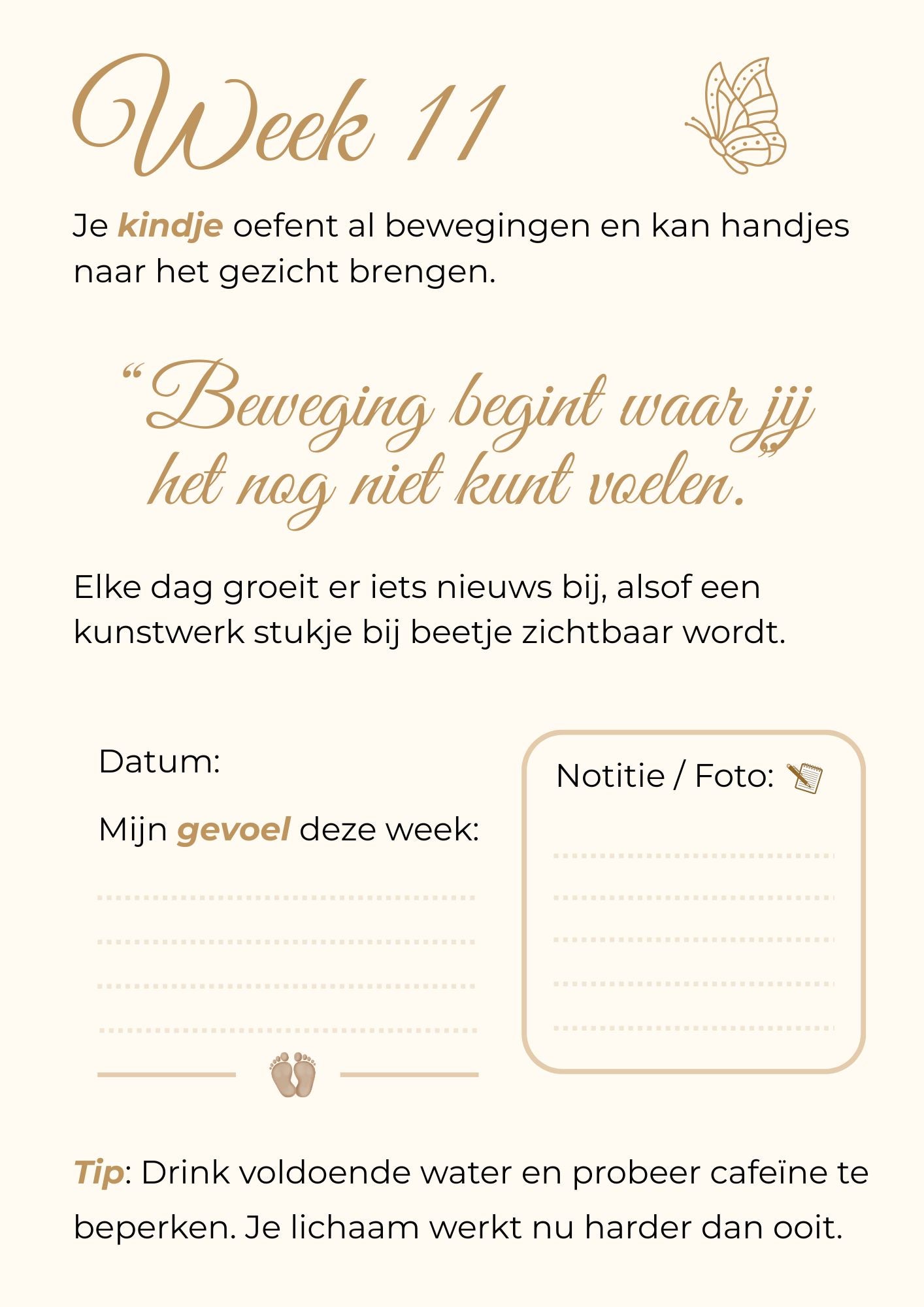 Zwangerschapskalender – 40 weken vol liefde, groei en onvergetelijke herinneringen