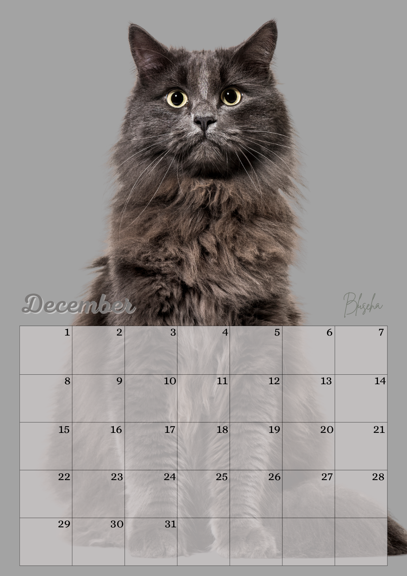 Verjaardagskalender Katten
