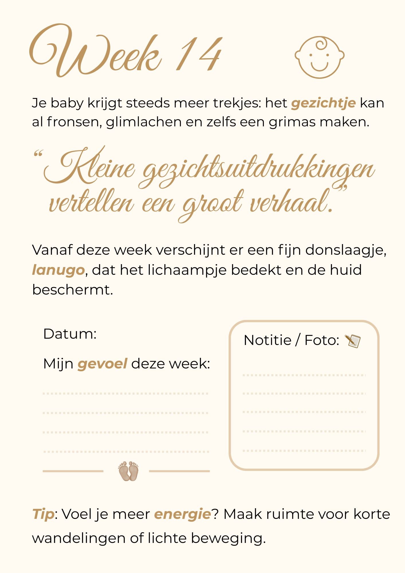 Zwangerschapskalender – 40 weken vol liefde, groei en onvergetelijke herinneringen