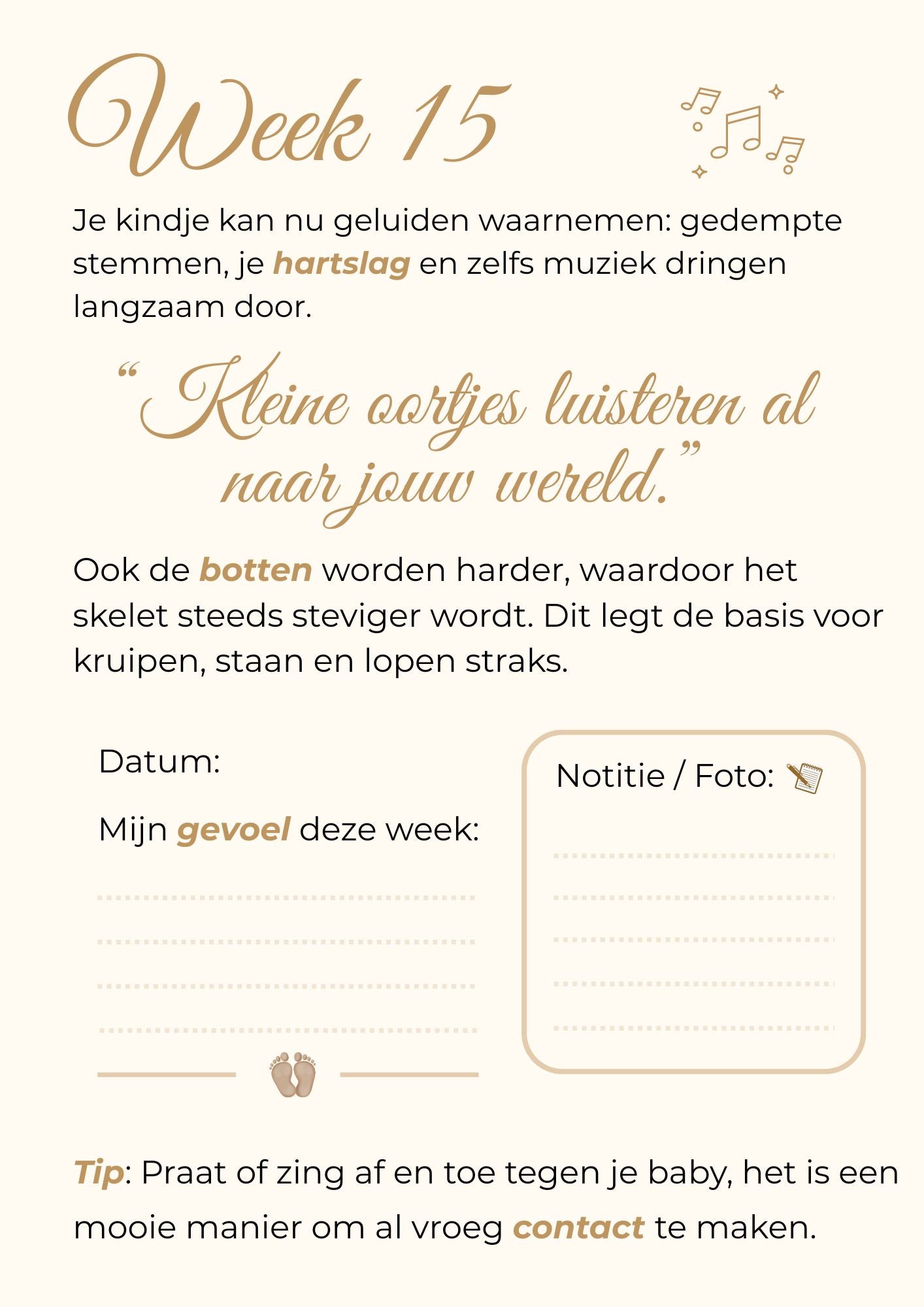 Zwangerschapskalender – 40 weken vol liefde, groei en onvergetelijke herinneringen