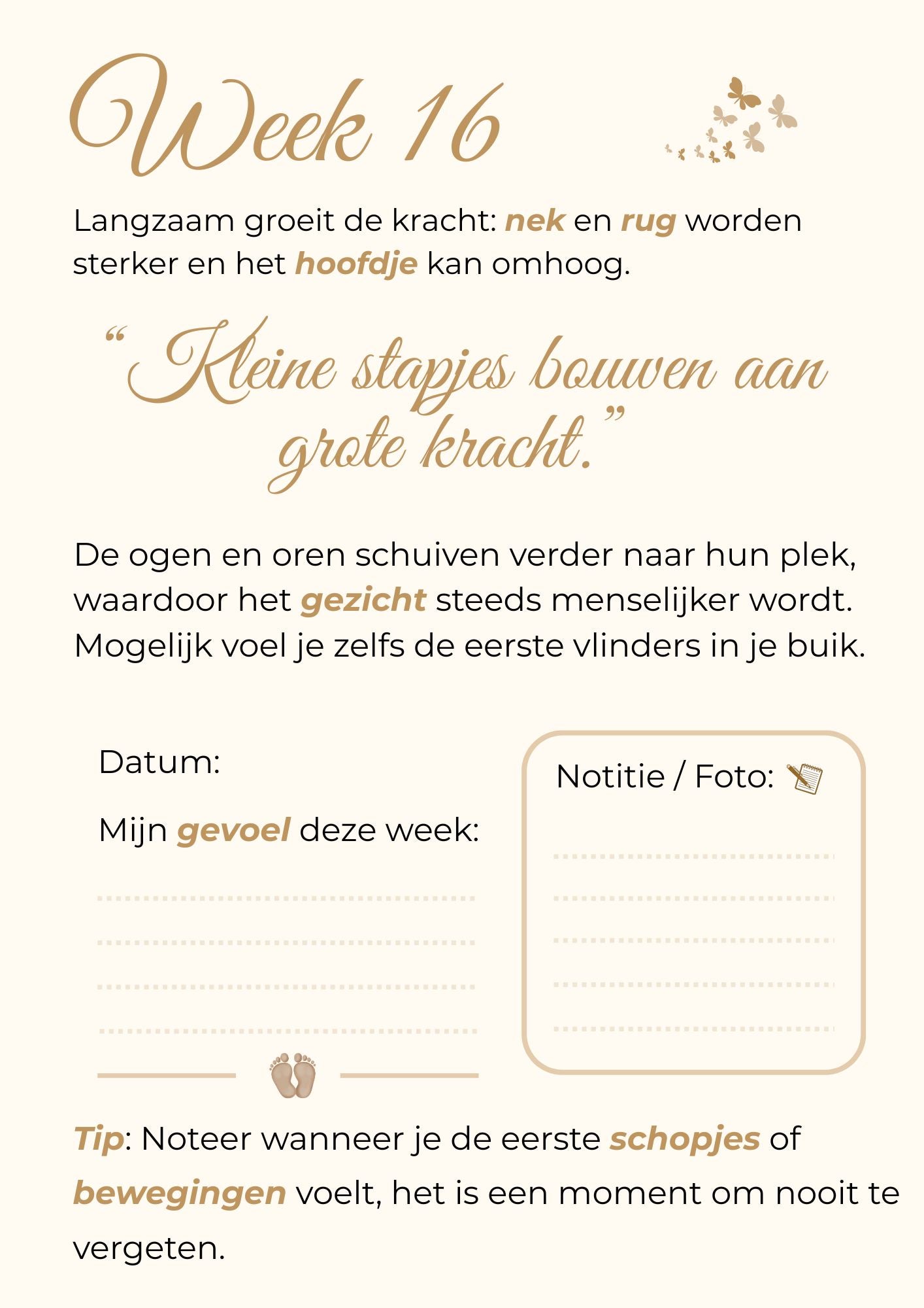 Zwangerschapskalender – 40 weken vol liefde, groei en onvergetelijke herinneringen