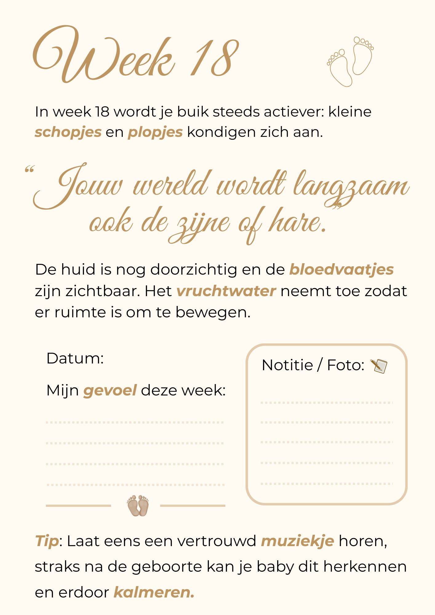 Zwangerschapskalender – 40 weken vol liefde, groei en onvergetelijke herinneringen