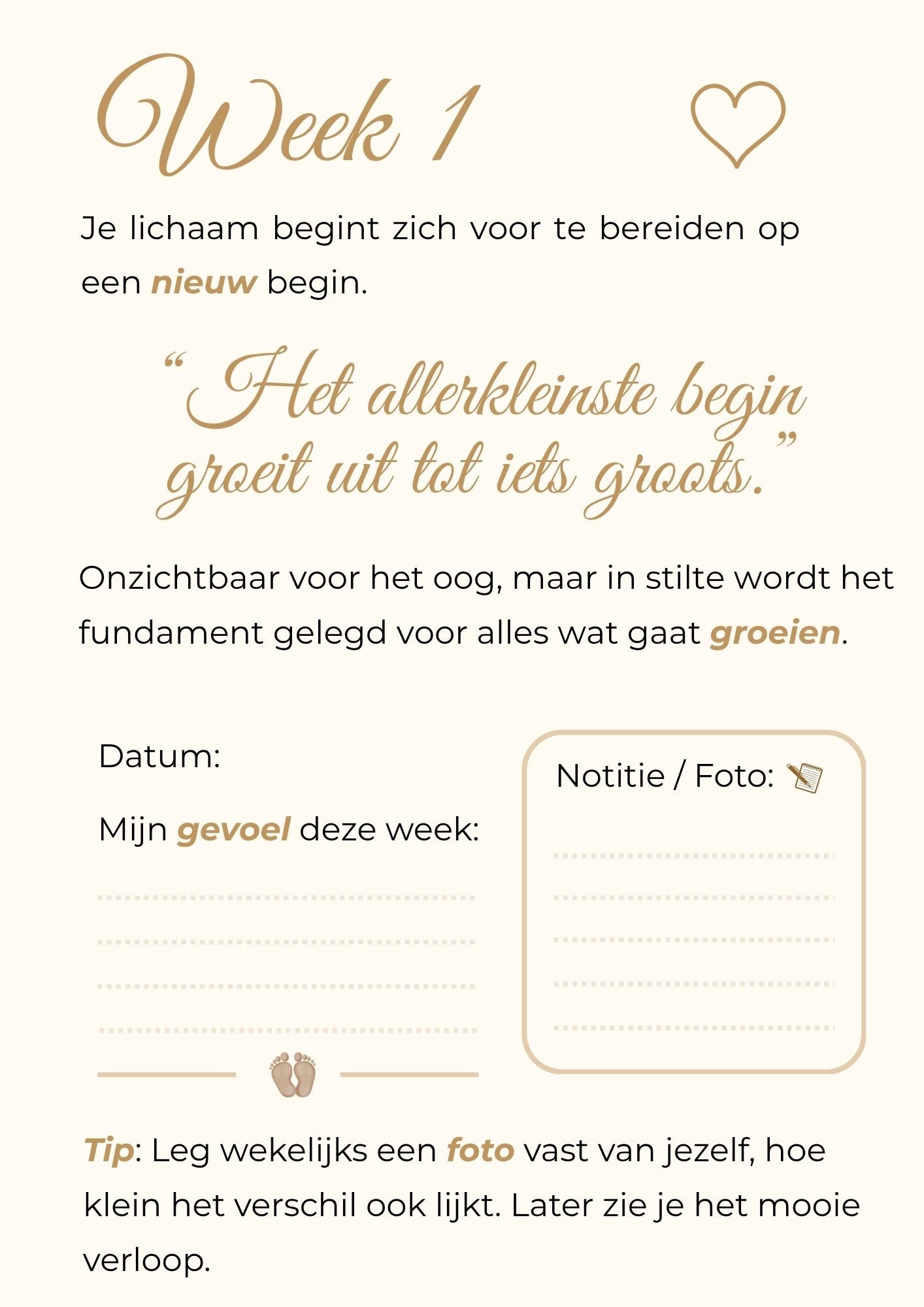 Zwangerschapskalender – 40 weken vol liefde, groei en onvergetelijke herinneringen
