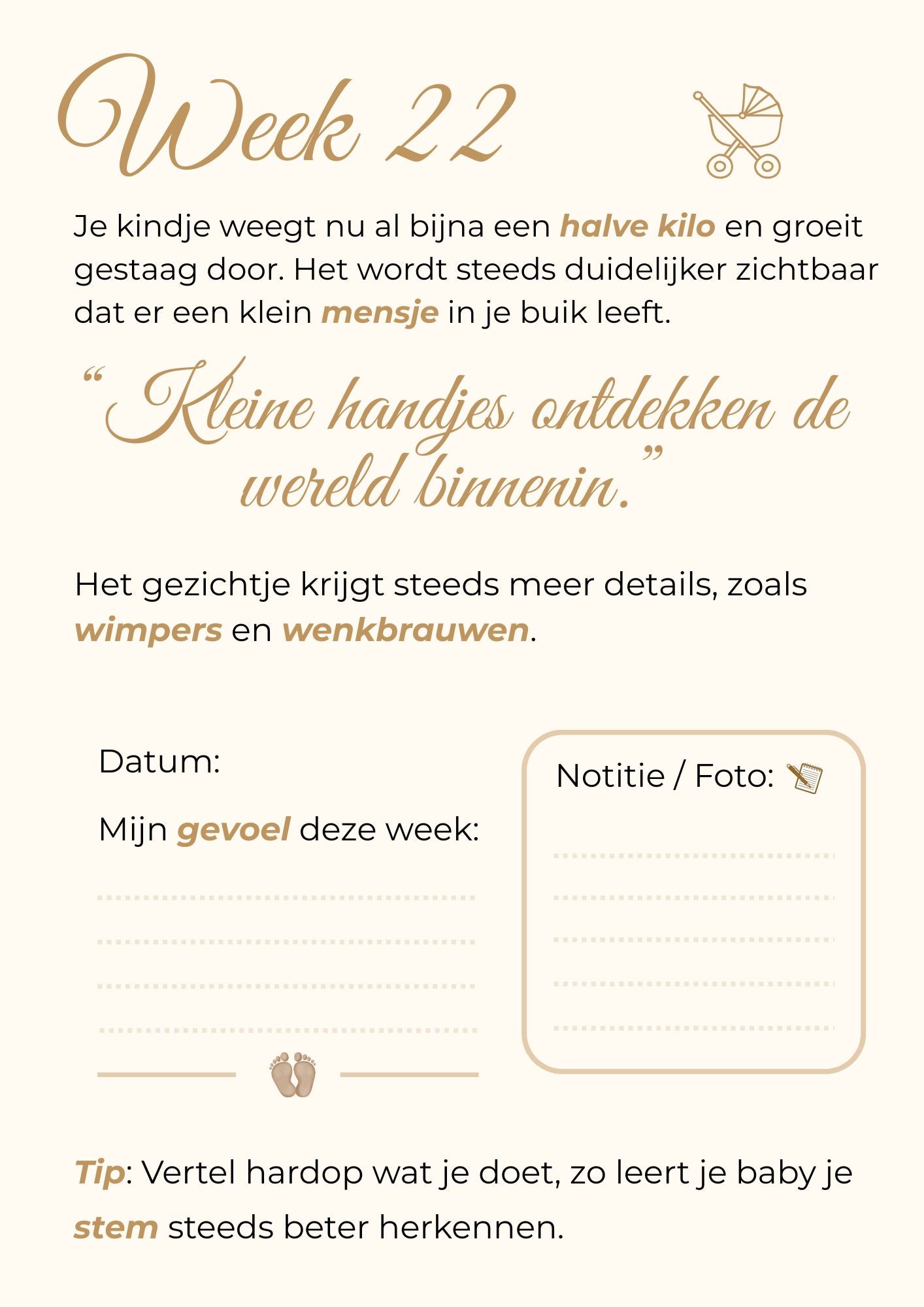 Zwangerschapskalender – 40 weken vol liefde, groei en onvergetelijke herinneringen