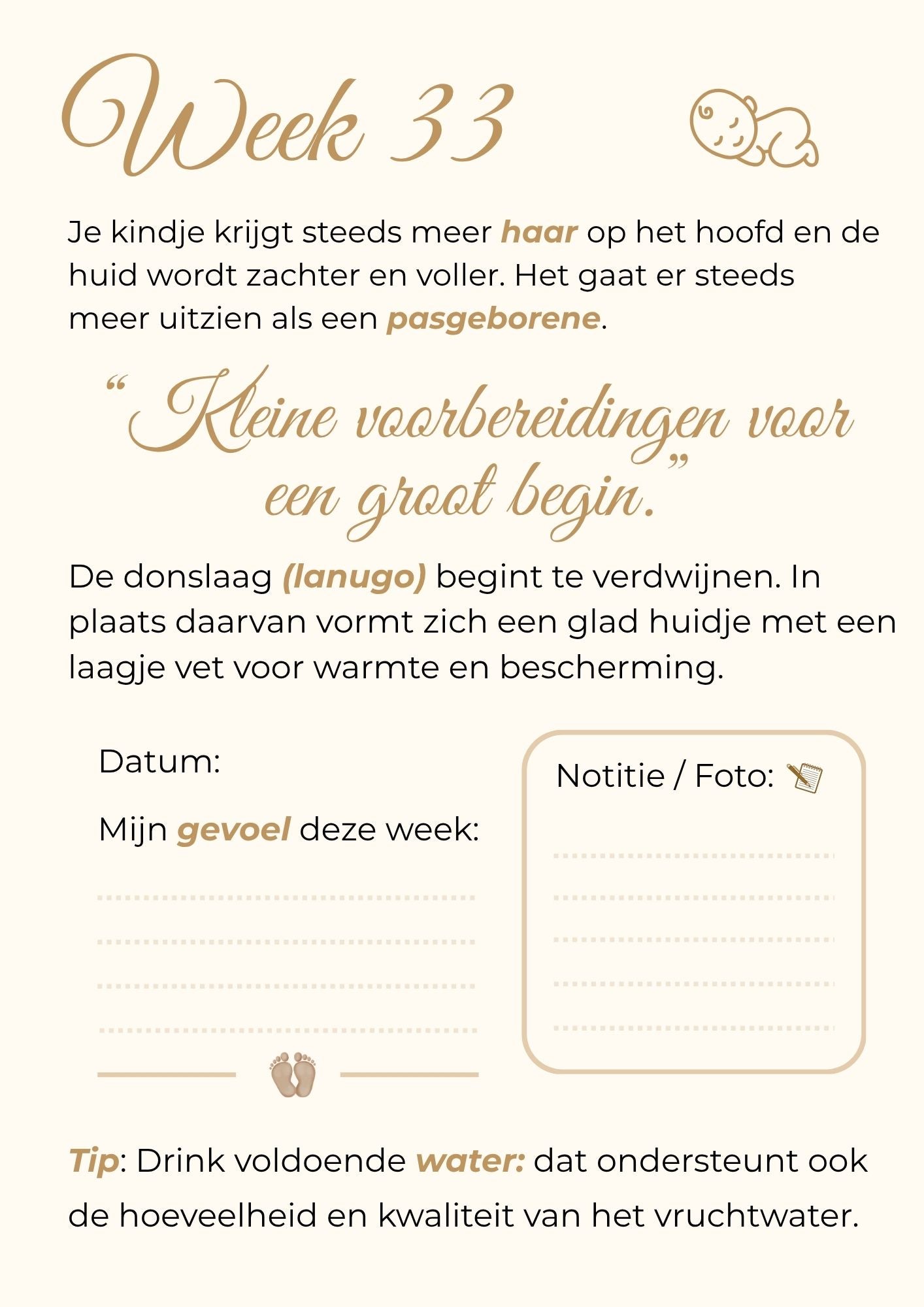 Zwangerschapskalender – 40 weken vol liefde, groei en onvergetelijke herinneringen