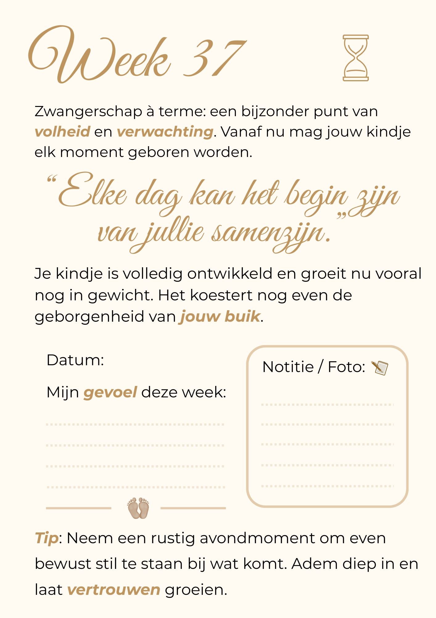 Zwangerschapskalender – 40 weken vol liefde, groei en onvergetelijke herinneringen