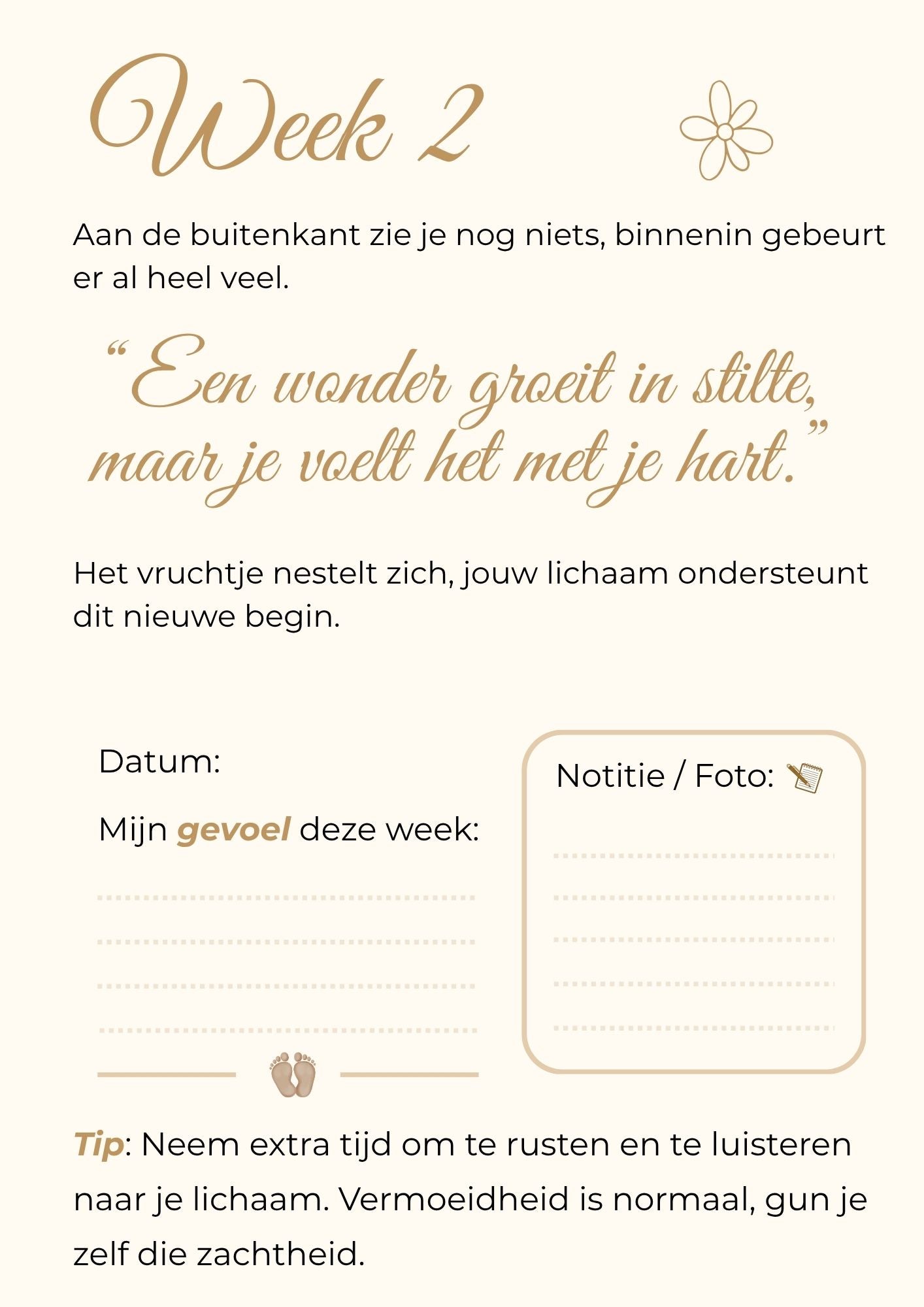Zwangerschapskalender – 40 weken vol liefde, groei en onvergetelijke herinneringen