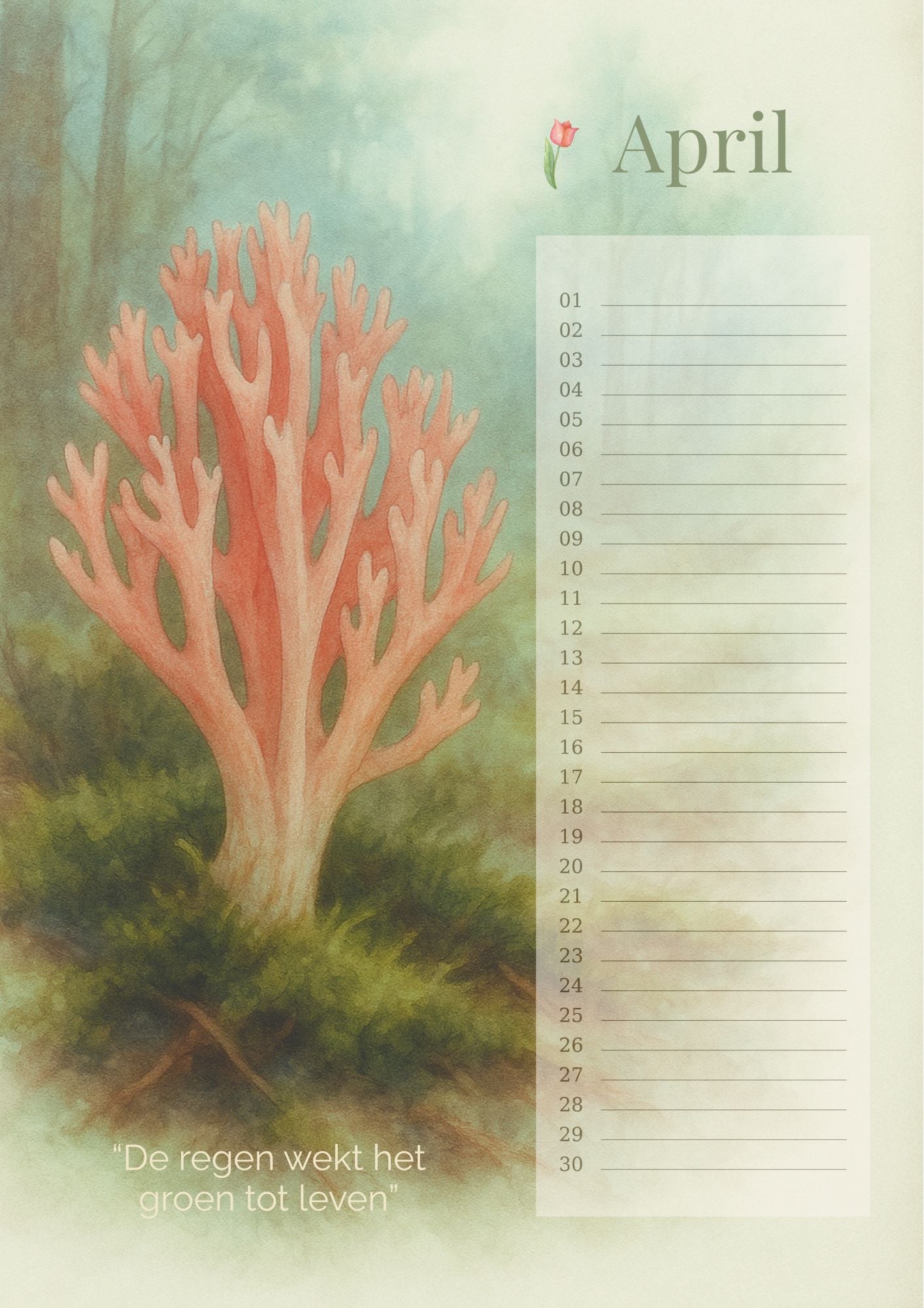 Verjaardagskalender Paddenstoelen