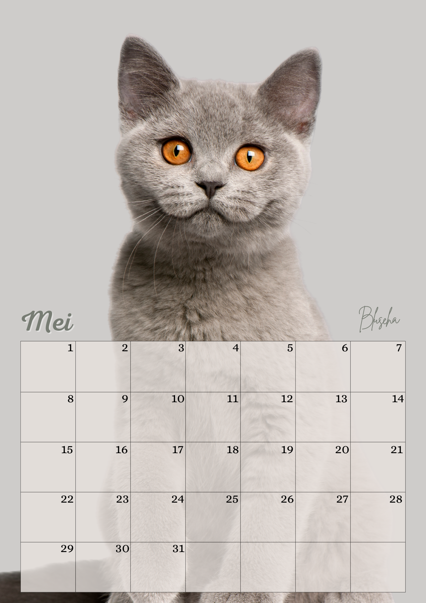 Verjaardagskalender Katten
