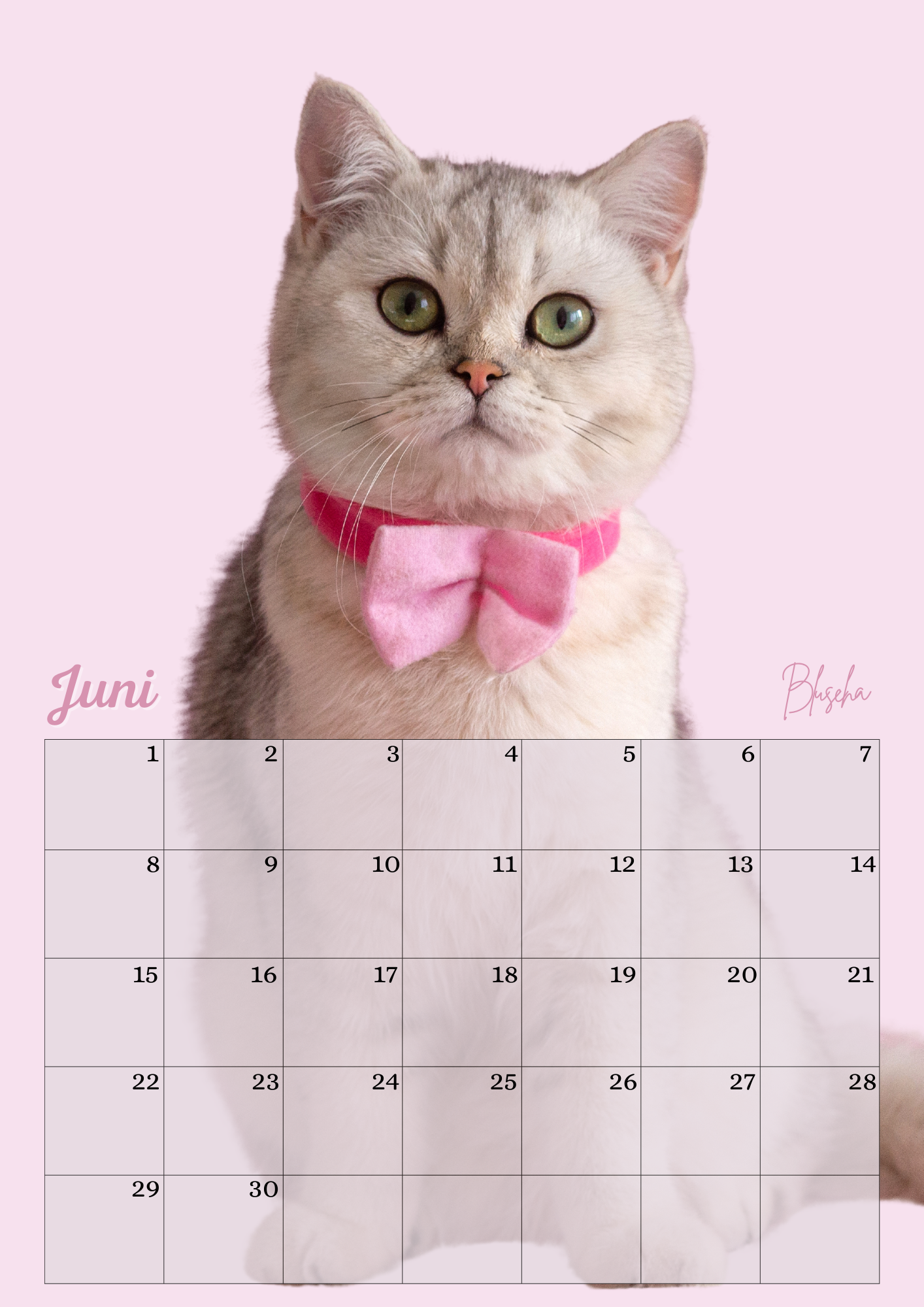 Verjaardagskalender Katten