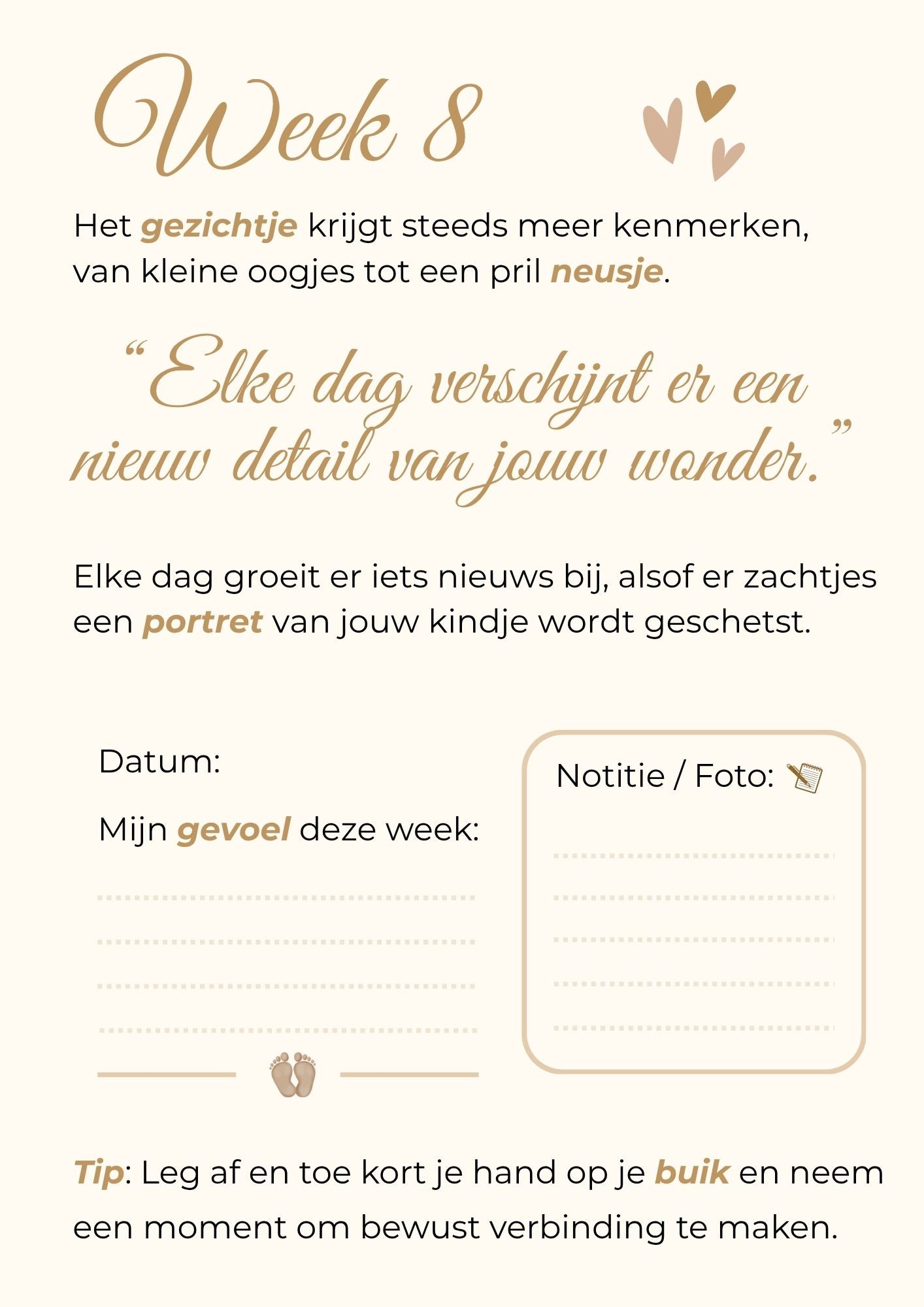 Zwangerschapskalender – 40 weken vol liefde, groei en onvergetelijke herinneringen