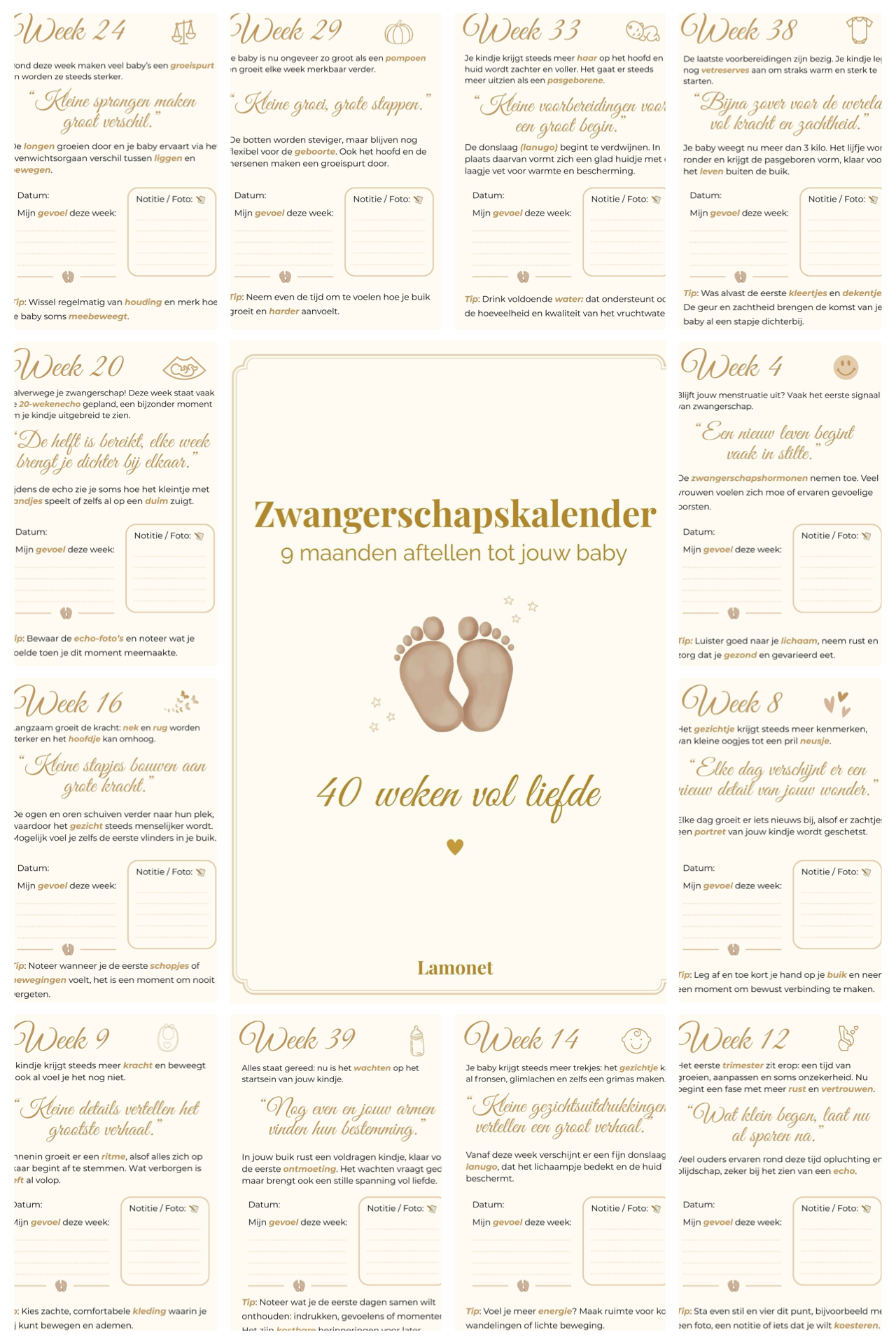 Zwangerschapskalender – 40 weken vol liefde, groei en onvergetelijke herinneringen
